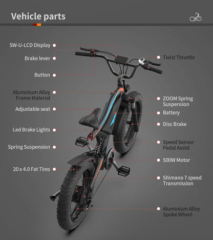 500W Electric Fat Tire Bike, 48V Battery, 20x4 Tires, SW-LCD Display