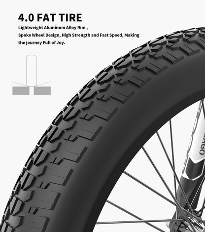 500W Electric Fat Tire Bike, 48V Battery, 20x4 Tires, SW-LCD Display