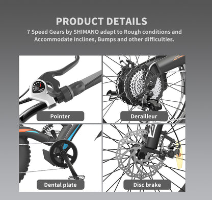 500W Electric Fat Tire Bike, 48V Battery, 20x4 Tires, SW-LCD Display