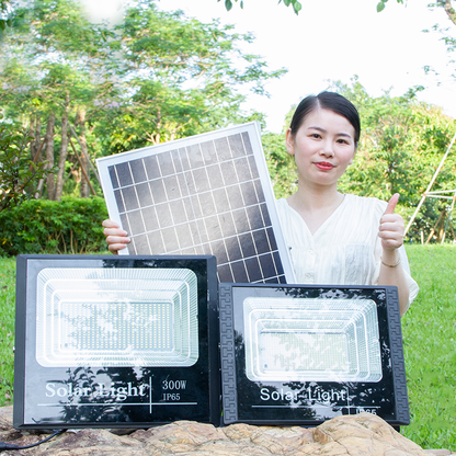 Lumière portative solaire étanche Ip65 extérieure 25W 40W 60W 100W 200W lampe d'inondation solaire de jardin LED